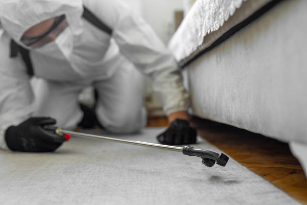 Professional Bed Bug Control technician working in Macon, IL