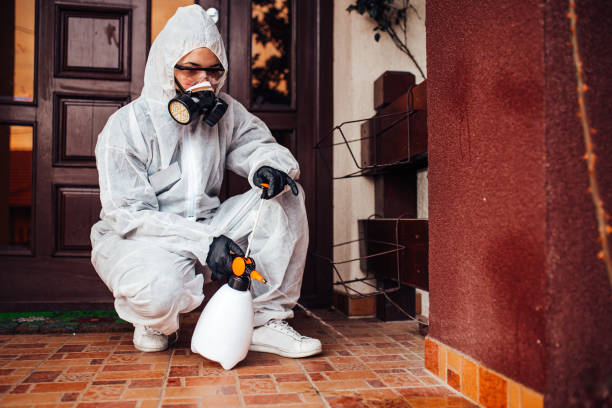 Reliable Bed Bug Control contractor in Macon, IL by Nex Pest Control